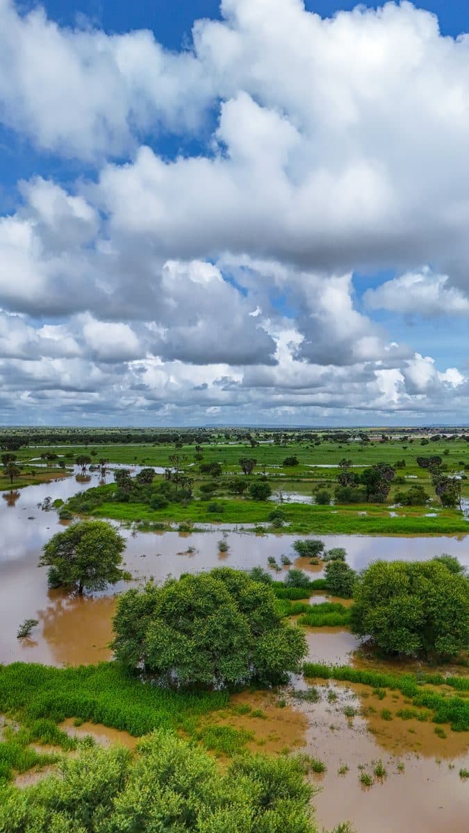 What Environmental, Planning and Flood Reports Reveal